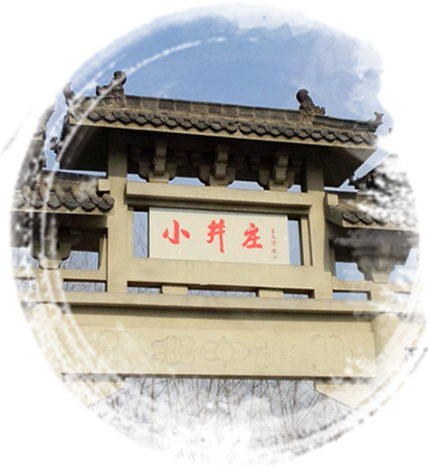 米乐直播安卓版