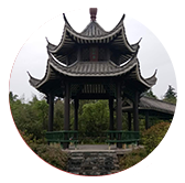 米乐直播安卓版:成功学丨梅婷、毛大庆等6位跨界明星告知你：斗争路上别忘了这件事！